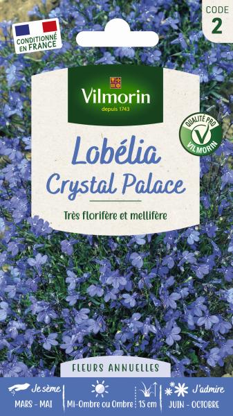 Fleurs - Lobélia Crystal Palace - PACKAGING_RECTO